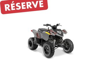 Polaris Phoenix 200  2023
