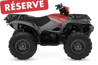 2025 Yamaha Grizzly DAE R-Spec
