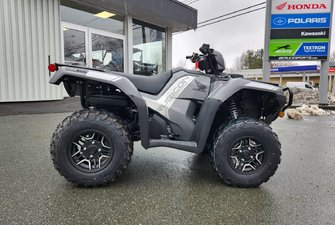 Honda Rubicon 520 Deluxe DCT IRS EPS  2025