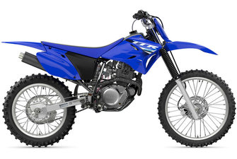 2025 Yamaha TTR-230