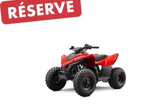 2026 CF Moto CFORCE 110 CLASSIC