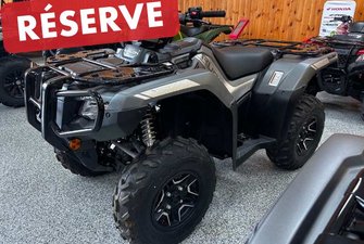 2025 Honda RUBICON 520 DCT IRS EPS