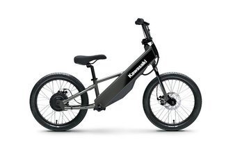 Kawasaki ELEKTRODE 20FS  2025