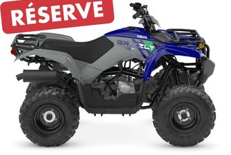 2026 Yamaha Grizzly 110