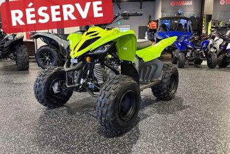 2026 Yamaha Raptor 110