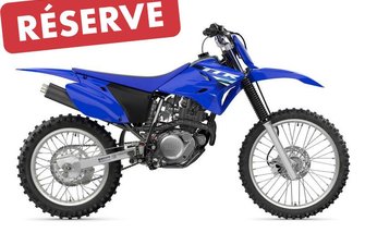 2025 Yamaha TT-R 230