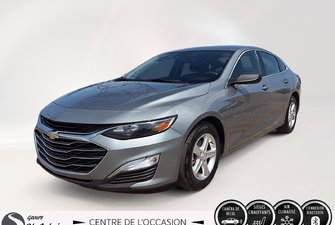Malibu LS 2023