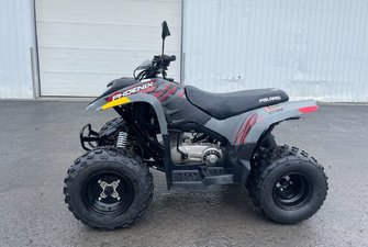 Polaris Phoenix 200  2023