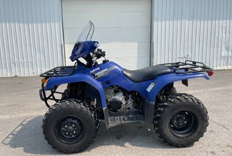 2014 Yamaha Bruins 350