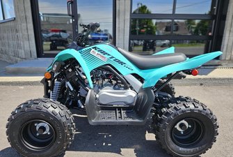 Yamaha RAPTOR 110  2025