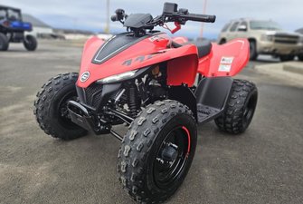 CF Moto CForce 110  2026