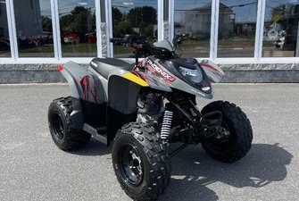 2024 Polaris Phoenix 200