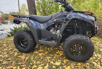 Kawasaki Brute Force 300  2025