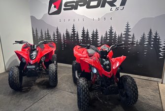 2019 Can-Am DS 90 POUR ENFANT 90 CC