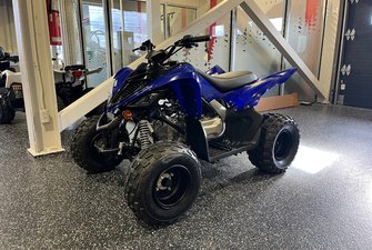Yamaha Raptor 110R 2024