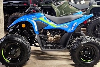 2026 CF Moto CForce 110