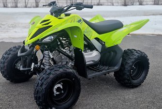 Yamaha RAPTOR 110  2026