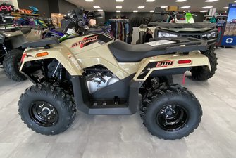 Arctic Cat ALTERRA 300 2X4 2024