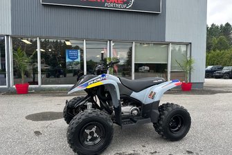 2025 Polaris Phoenix 200