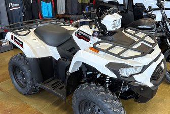 2025 Kawasaki Brute Force 450