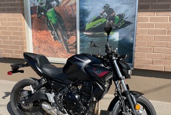 Kawasaki Z 650  2021