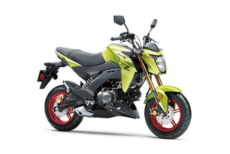 2026 Kawasaki Z125 Pro