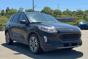Ford   2021