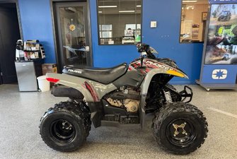 Polaris Phoenix 200  2022