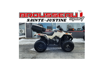 Arctic Cat ALTERRA 300 2x4 2022