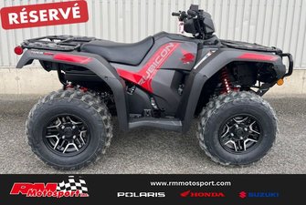 2024 Honda Rubicon DCT IRS EPS Deluxe