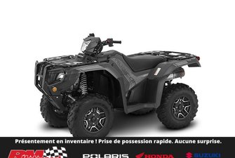 2025 Honda Rubicon DCT IRS EPS Deluxe