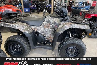 2025 Honda RUBICON DCT IRS EPS