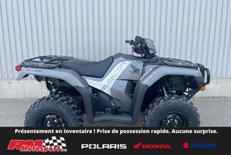 2025 Honda Rubicon IRS EPS