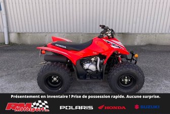 2025 Honda TRX90XS