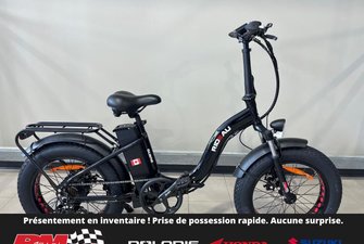 Slane RIDEAU FAT 4.0 Vélo Électrique  2024