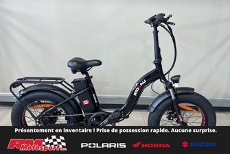 2024 Slane RIDEAU FAT 4.0 Vélo Électrique