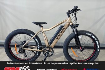 Slane SANTIAGO FAT 4.0 Vélo Électrique  2024