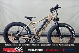 2024 Slane SANTIAGO FAT 4.0 Vélo Électrique