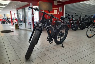 9999 Daymak Wild Goose Electric Bike