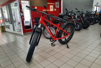 9999 Daymak Wild Goose Electric Bike