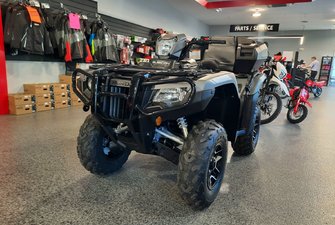 2026 Honda ATV RUBICON Rubicon 4x4 Automatic DCT EPS