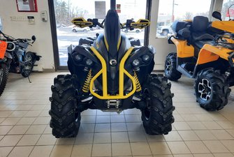 2019 Can-Am Renegade