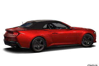 FORD MUSTANG CONVERTIBLE ECOBOOST 2024 photo-4