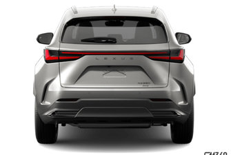 2024 LEXUS NX 250 SIGNATURE photo-5