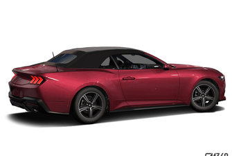 FORD MUSTANG CONVERTIBLE ECOBOOST 2025 photo-4