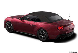 FORD MUSTANG CONVERTIBLE ECOBOOST 2025 photo-5