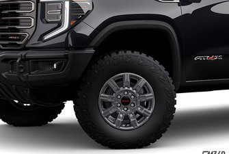 2025 GMC SIERRA 1500 AT4X photo-4