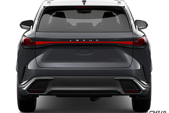 2025 LEXUS RX 350 F SPORT photo-5
