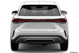 2025 LEXUS RX 350 photo-5