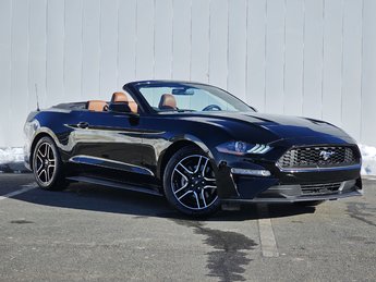 2019 Ford Mustang EcoBoost | Cam | USB | Keyless | Warranty to 2025